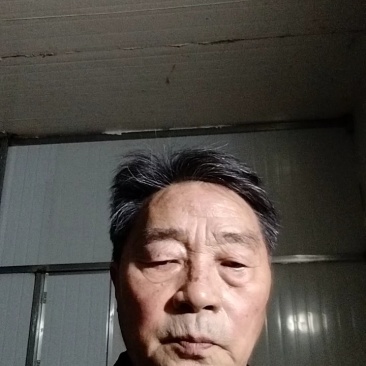 【全国包邮！】铁棍山药礼品盒五斤装，垆土铁棍山药精品！