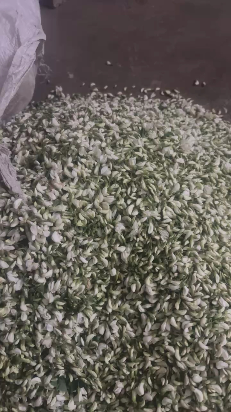 洋槐花