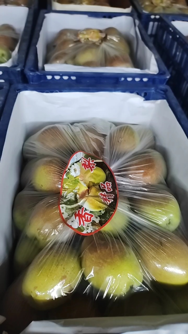 精品礼盒香梨！产地发货！质量保障服务全国各地客商！
