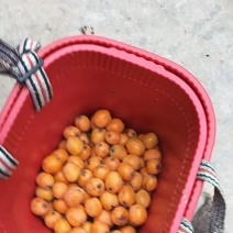 批把