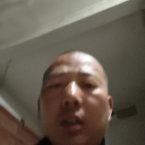 邯郸精品蒜薹精品蒜台/保质保量/全国代发/欢迎选购