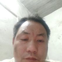 鸽子蛋对接全国产地直发保质保量欢迎各大批发商采购