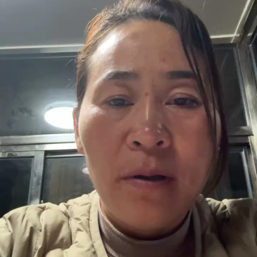 河南内黄羊角蜜甜瓜！博洋61.口感脆甜，产地直供