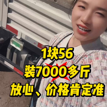 s博洋9号赶集货电商社团产地直发一手货源价格低