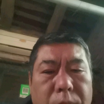 山东省聊城市莘县魏庄镇鲁厚甜甜瓜基地直供