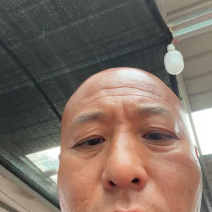 螺丝椒鲜辣椒唐山滦南螺丝椒大量上市，欢迎各位客商来电咨询