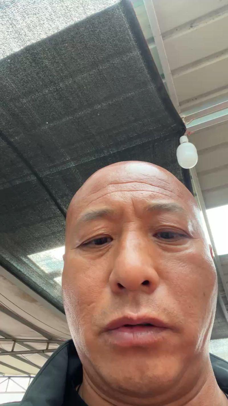 螺丝椒鲜辣椒唐山滦南螺丝椒大量上市，欢迎各位客商来电咨询