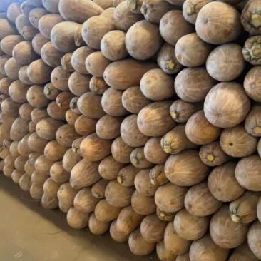海南蜜北0.8～1元/斤，3～6斤规格