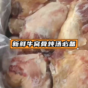 内蒙古精品牛副产品牛窝骨/诚信经营/量大从优/工厂直发