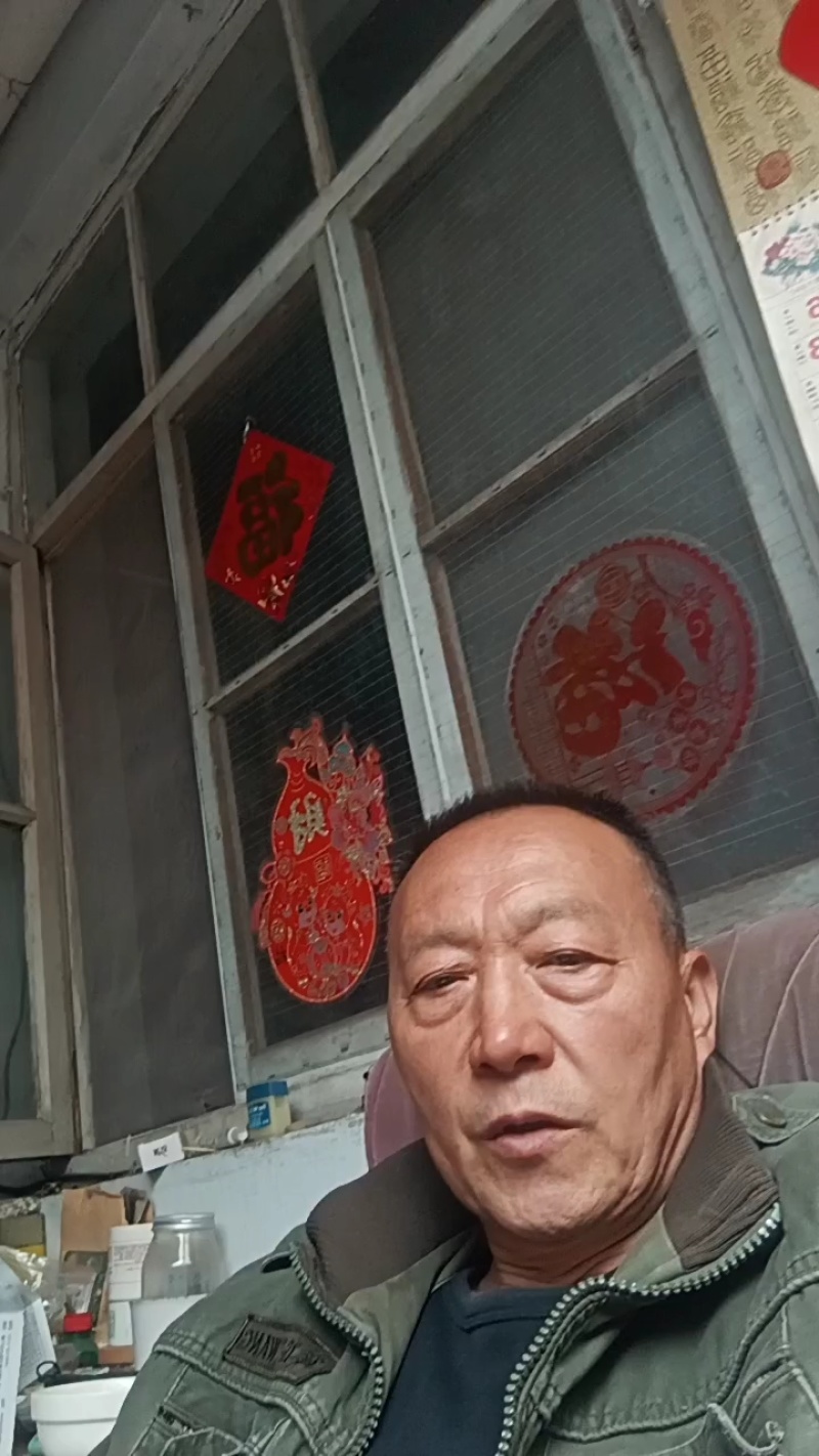 精品阳光玫瑰货源充足质量保证欢迎咨询