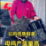 纯种芦花鸡/基地直发/规格齐全/大量现货/欢迎选购