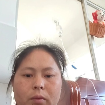 广西正宗沃柑苗基地直销保质保量量大优惠保湿发货
