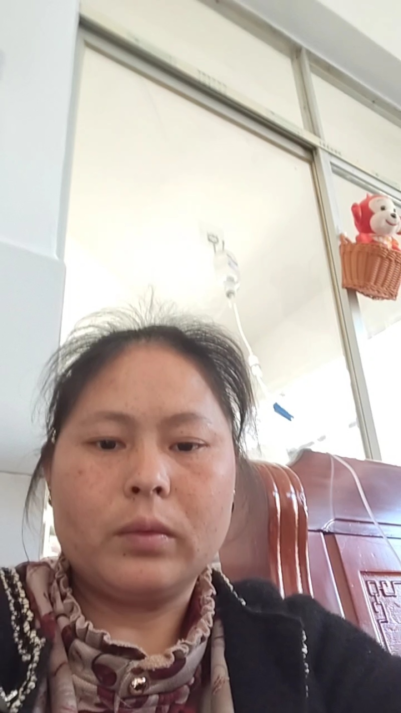 广西正宗沃柑苗基地直销保质保量量大优惠保湿发货