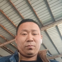 平邑精品蒜黄大量上市
