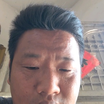 江苏淮安小香芹青芹菜大量接单量大从优欢迎来电