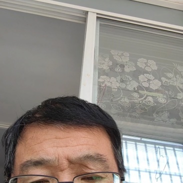 山东邹城，高淀粉济薯25苗，欢迎新老客户选购！