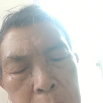 桃子树苗，太白脆甜桃，脱骨桃，果大味甜，六月分成熟，