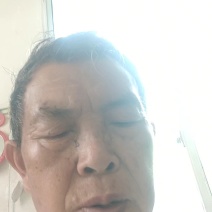 桂花树苗，八月金桂，花期长，香味浓。