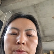 【新品上市】河南黑皮冬瓜地冬瓜毛色亮对接各大批发市场