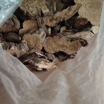 何首乌大量精品，中药材有货四川何首乌货量充足价格优惠