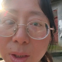基地批发四季桂毛球四季桂灌丛四季桂绿篱耐修剪易成活效果好
