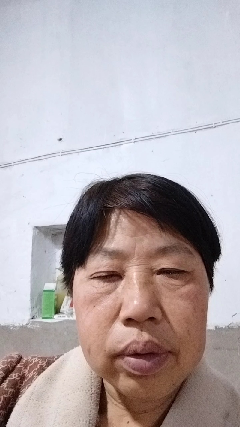 海蛰