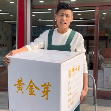 黄金叶茶2026年黄金叶茶叶批发包邮