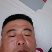 山东密刺黄瓜，产地直发，欢迎全国各地客商前来选购