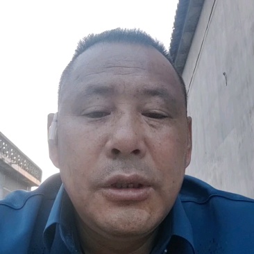 樱桃15~20大棚樱桃大量上市了货源充足，按质量论价，