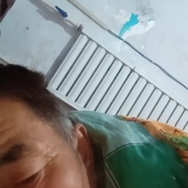 鹿角灵芝干的谁收购给个联系方式