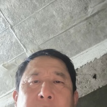 沂蒙山区里的优质陈皮