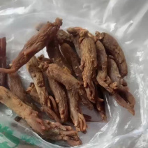 长白山脉***红参红参棒红光支泡酒入药煲汤参老味浓