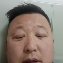 甘肃天水香焦梨巴梨洋梨鸡大腿梨金黄浓蜜多汁核小