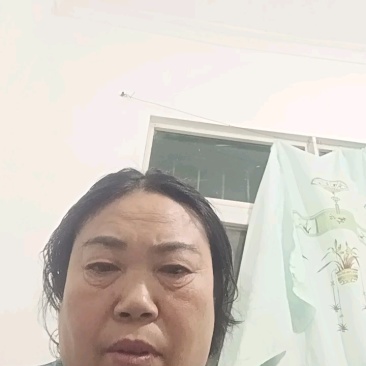 汉源大五星枇杷4天后采收，满山遍野有货！