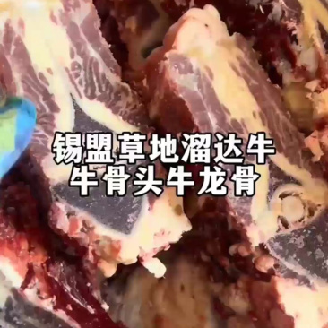 内蒙古精品牛副产品牛龙骨/诚信经营/量大从优/工厂直发