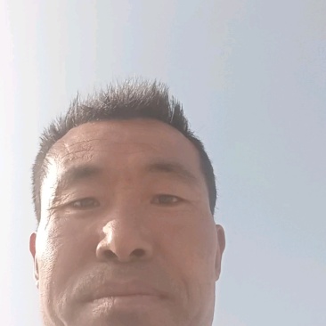 甘肃定西漳县遮阳山特产高山白条无硫当季新当参