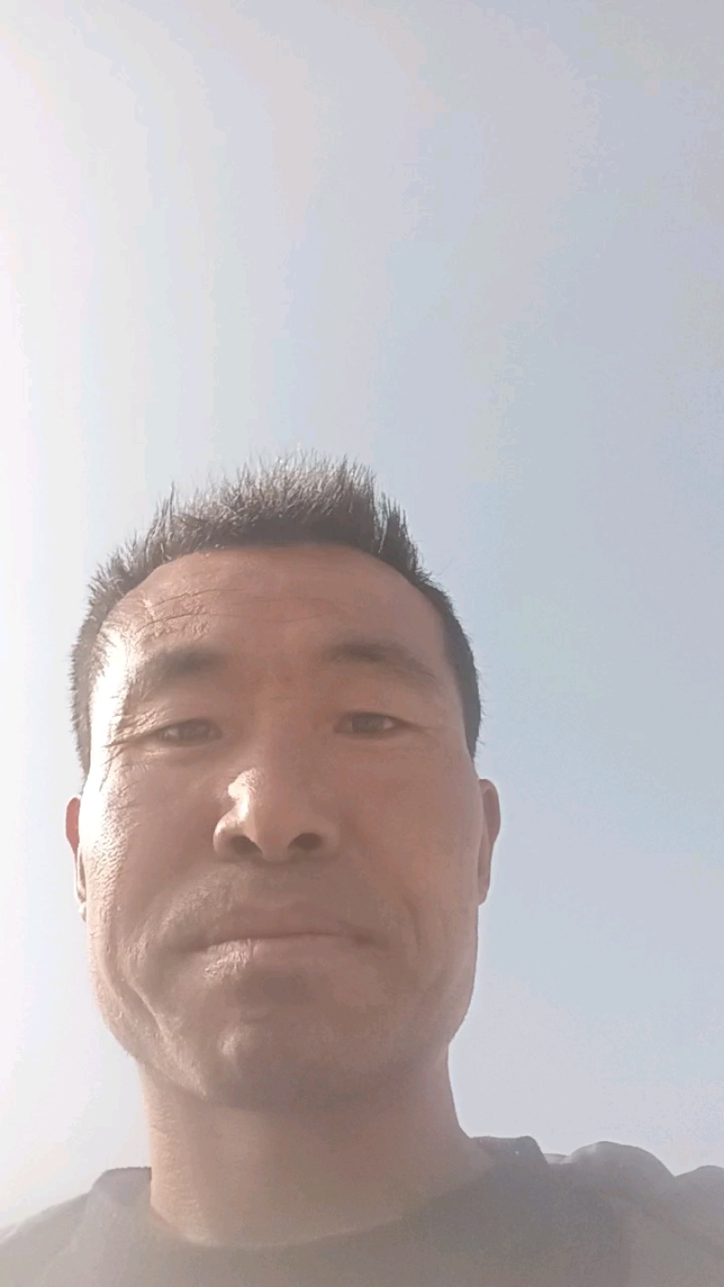 甘肃定西漳县遮阳山特产高山白条无硫当季新当参