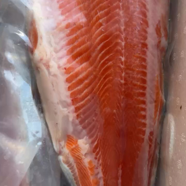 三文鱼刺身新鲜三文鱼中段生鱼片刺身日料寿司