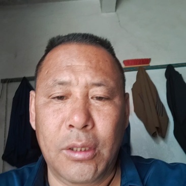 洋葱大量现货，质量保证，价格不高，支持全国发货