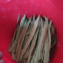 赶集货，上货快，芸豆，扁青，价格随行！