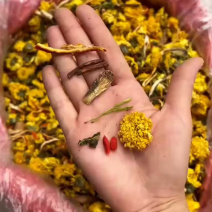 菊花茶陈皮菊花苦荞茶跑江湖地摊花茶菊花决明子茶各种花茶有