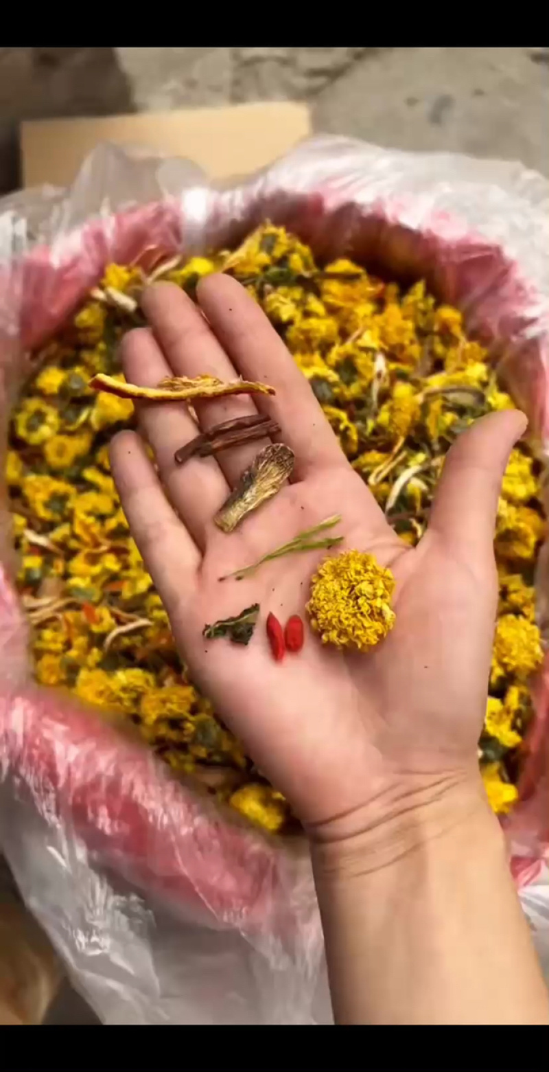 菊花茶陈皮菊花苦荞茶跑江湖地摊花茶菊花决明子茶各种花茶有