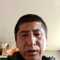 正宗秋月蜜梨，肉细无渣，脆甜可口！新鲜采摘！果园直达