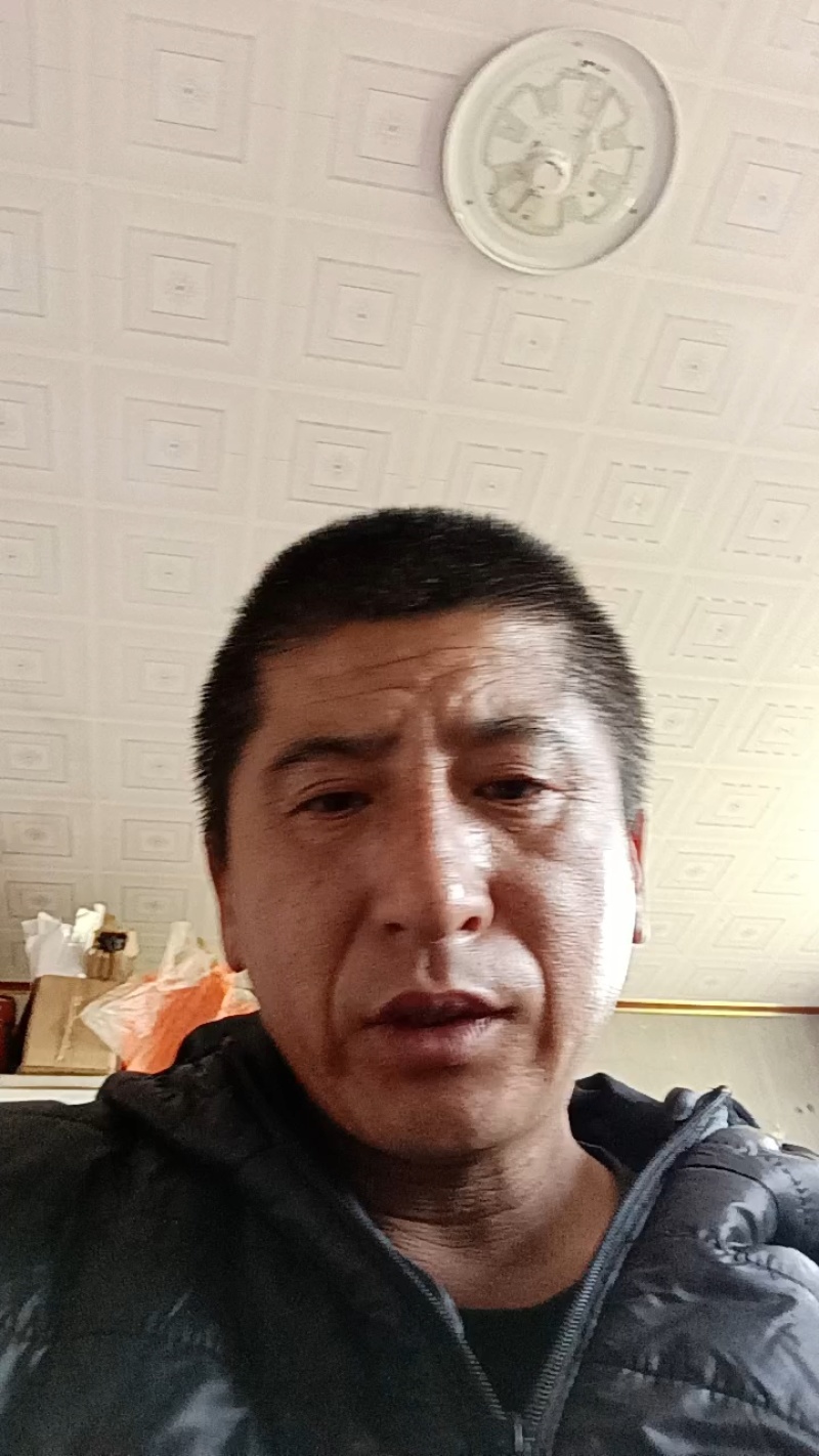 正宗秋月蜜梨，肉细无渣，脆甜可口！新鲜采摘！果园直达