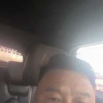 山东兰陵黄心白菜3到6斤直发泡菜厂质量好价格低货源充足