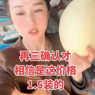 红金蜜货源充足暖棚掉瓜产地代收耐运输定棚为主