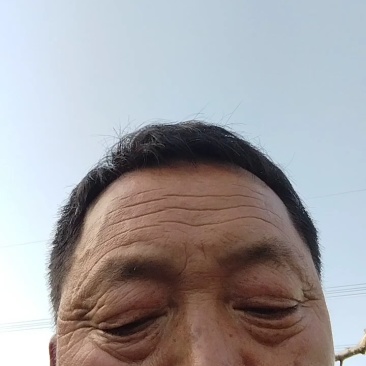 红富士河南苹果🍎产地直销量大从优可视频看货对接全国