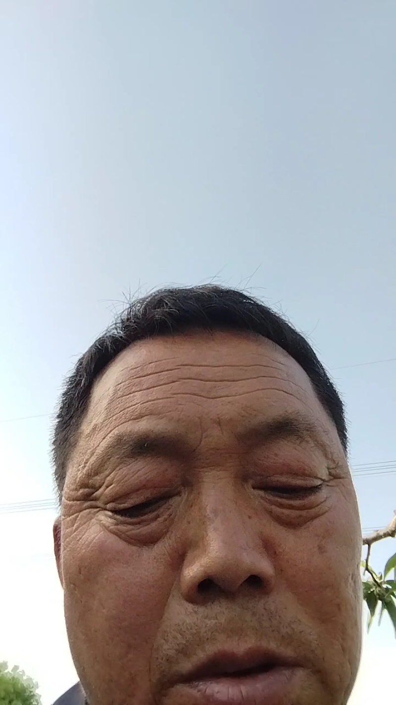红富士河南苹果🍎产地直销量大从优可视频看货对接全国