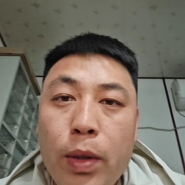 （精品推荐）甜瓜博洋9号代收代发产地直发供应市场电商