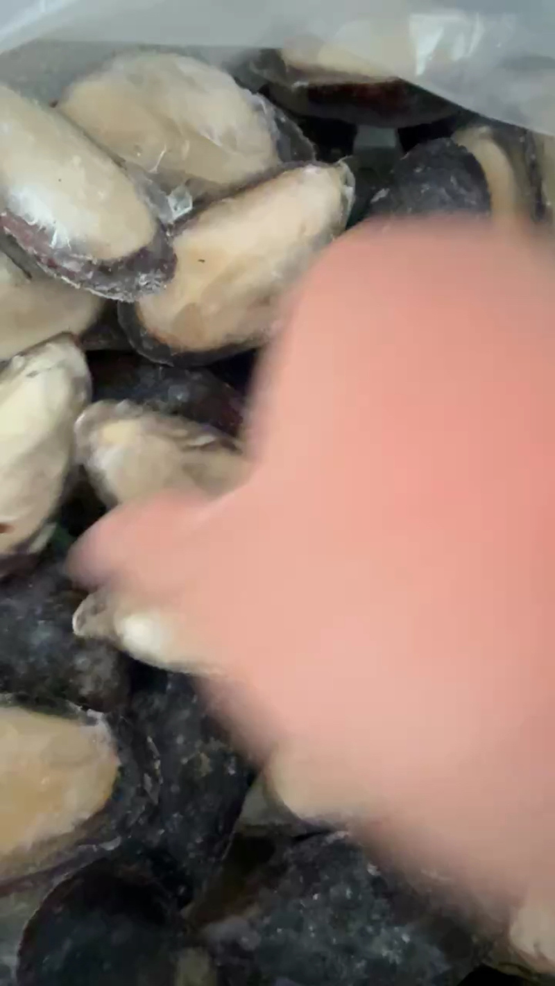 青口贝半壳青口贝半壳海虹捞汁烧烤火锅食材